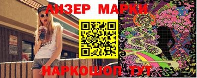 a pvp Новозыбков
