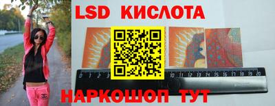 a pvp Новозыбков