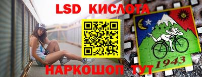 a pvp Новозыбков
