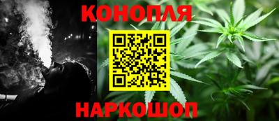 a pvp Новозыбков