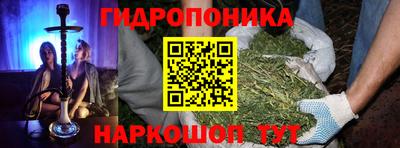 a pvp Новозыбков