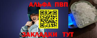 a pvp Новозыбков