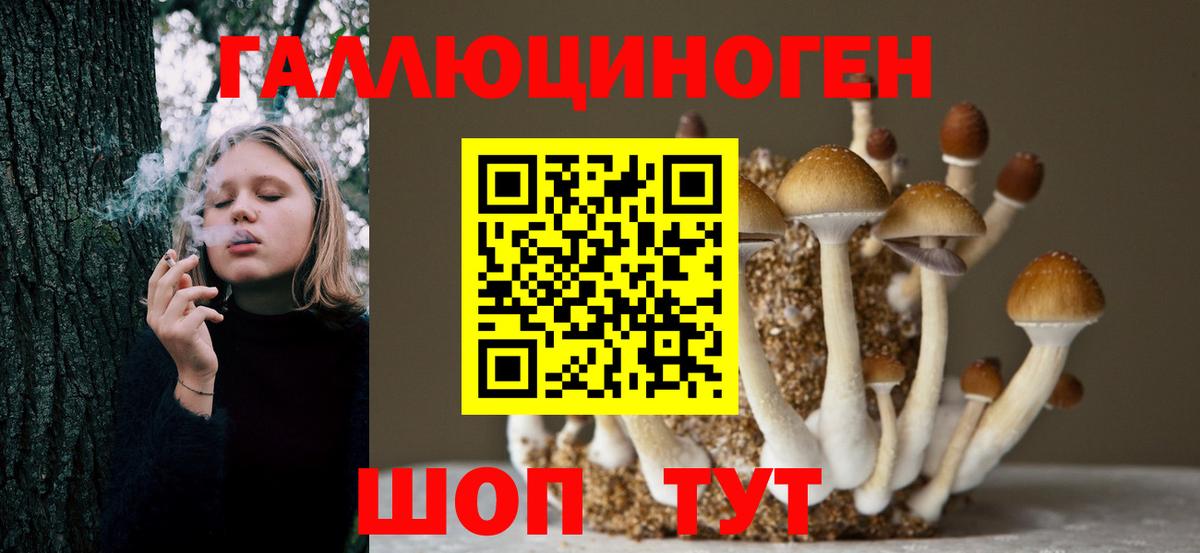 Спасск-Дальний  Галлюциногенные грибы Psilocybe  купить наркотик  Вход с VPN 