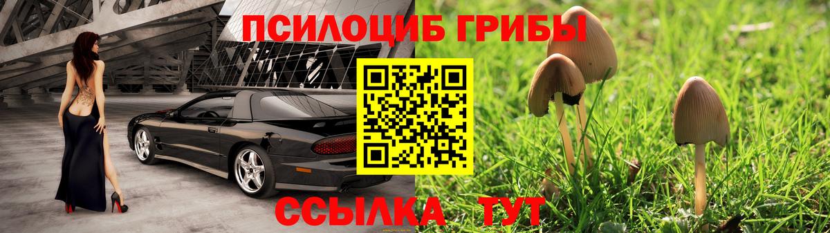 ГАШИШ Спасск-Дальний