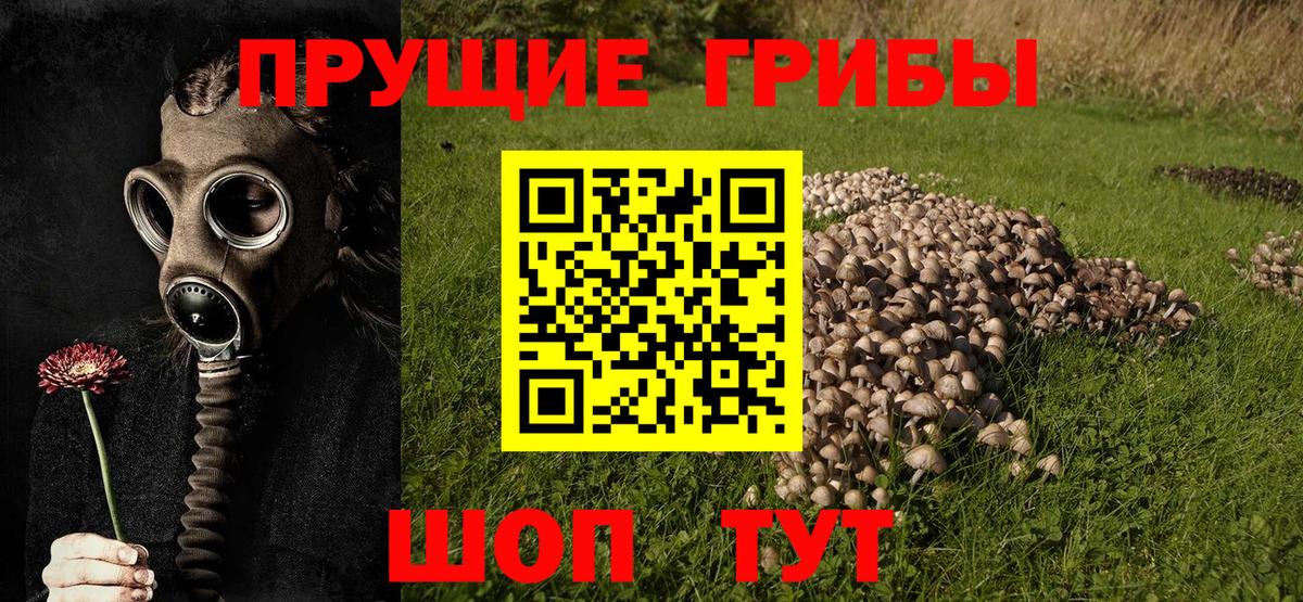 Псилоцибиновые грибы Magic Shrooms Спасск-Дальний